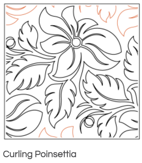 Quilt Fairy UK - Poinsettia Quilting Design